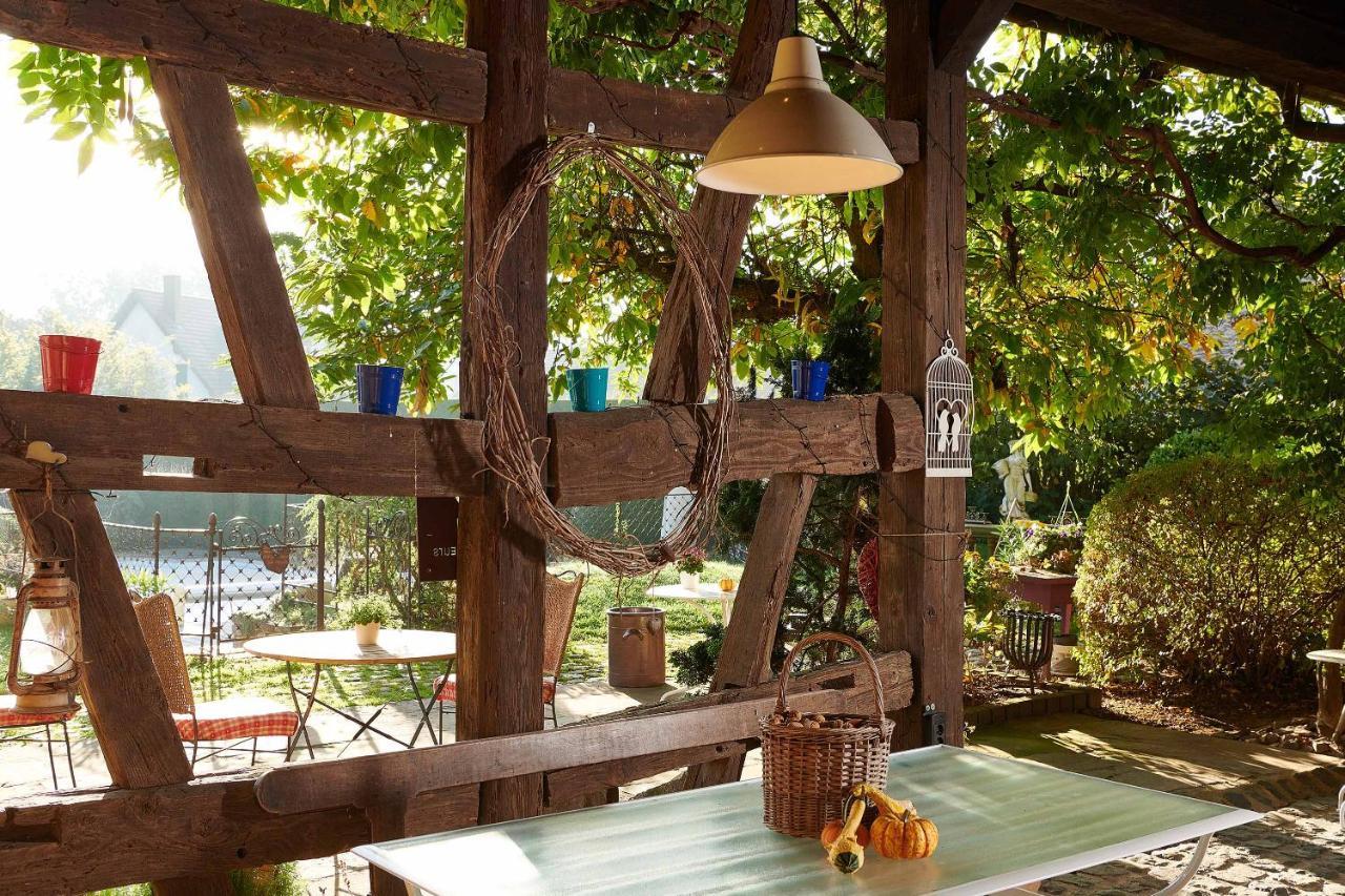 La Cour De Lise Maison D'Hotes Et Spa Willgottheim Dış mekan fotoğraf