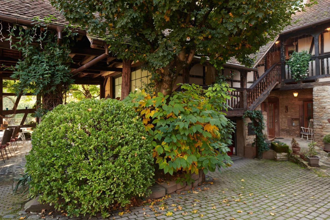 La Cour De Lise Maison D'Hotes Et Spa Willgottheim Dış mekan fotoğraf
